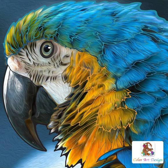 Meet your Posher, Dennis - Picture 1 of 1